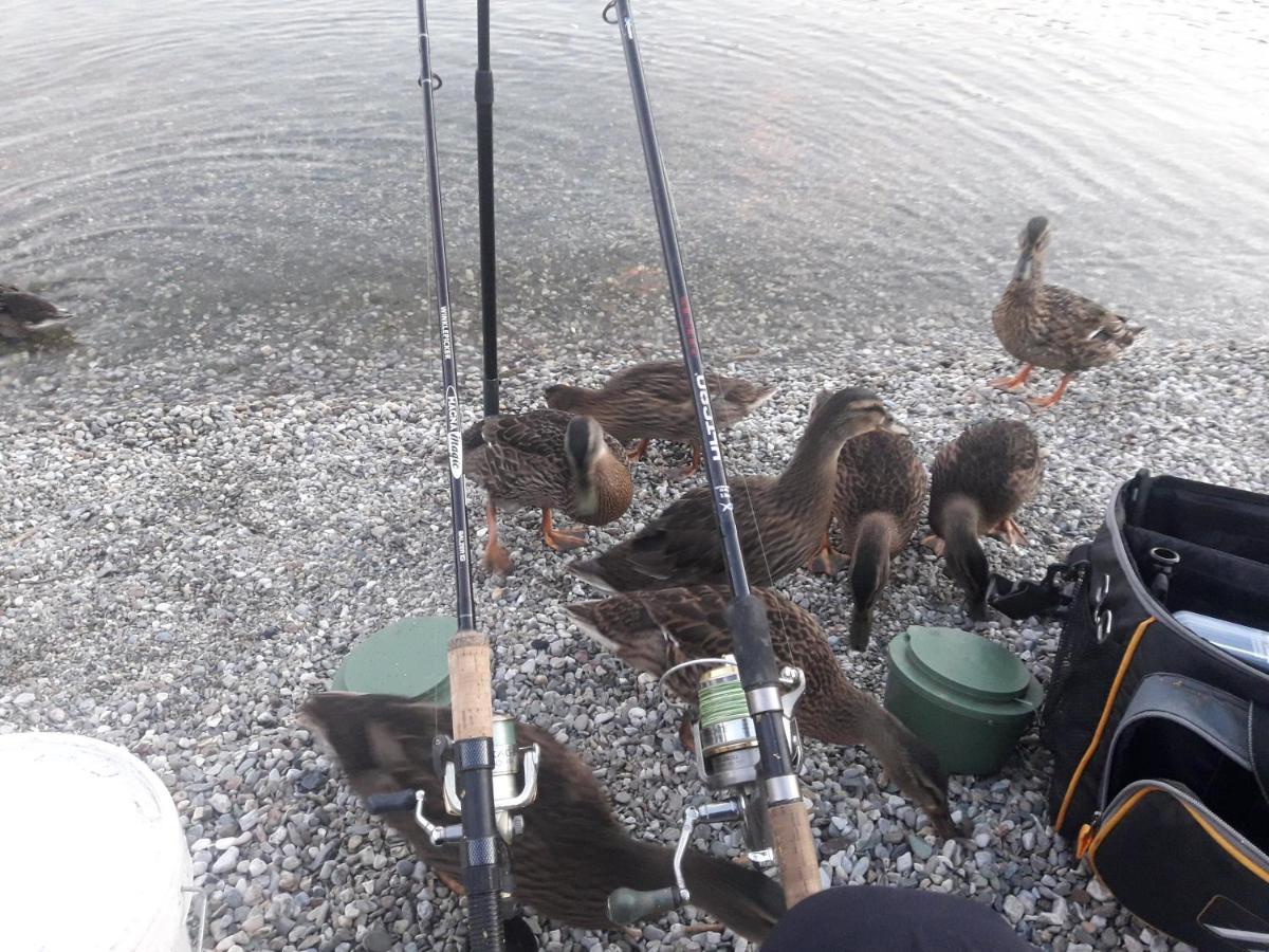 Wildente Am See 마이스호펜 외부 사진